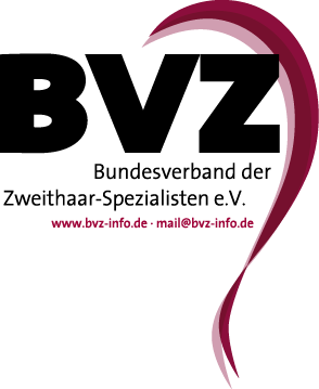 BVZ_Logo_transparent